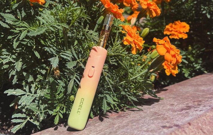 CCELL Go Stik 510 Battery Review: Your New Go To?